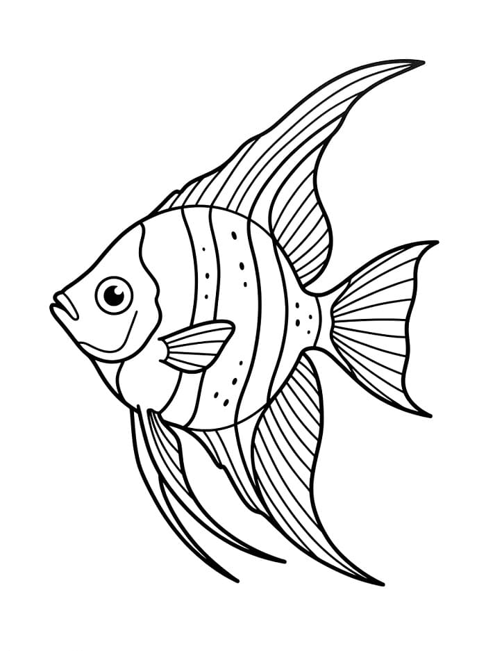 Pesce Angelo in Regalo da colorare