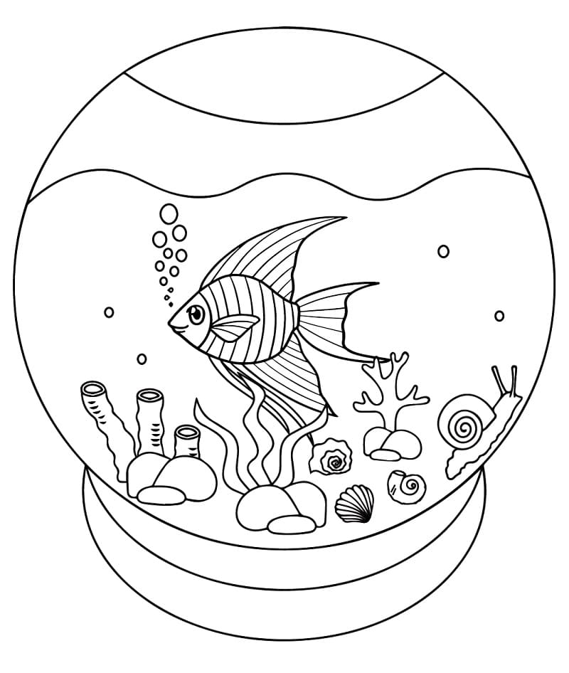 Pesce Angelo per Bambini da colorare