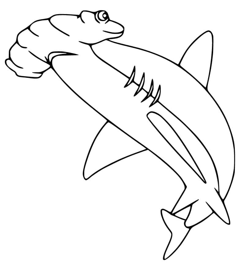 Stampabile Gratuito Squalo Martello da colorare