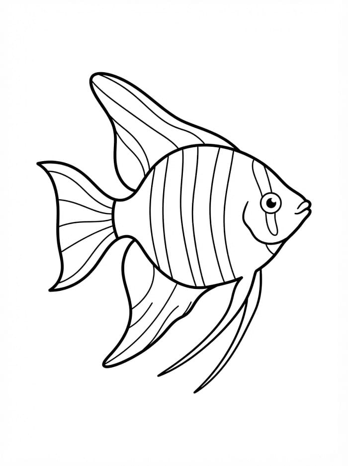 Un Pesce Angelo da colorare